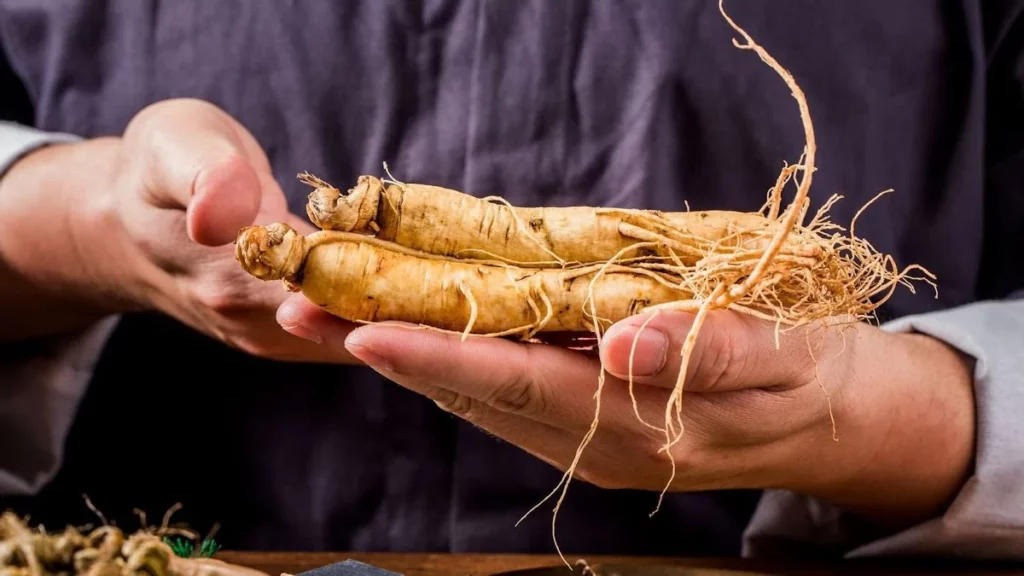 manfaat ginseng untuk rambut