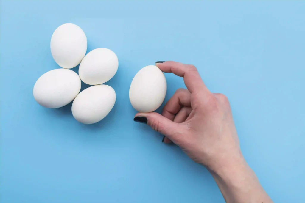 manfaat putih telur untuk rambut