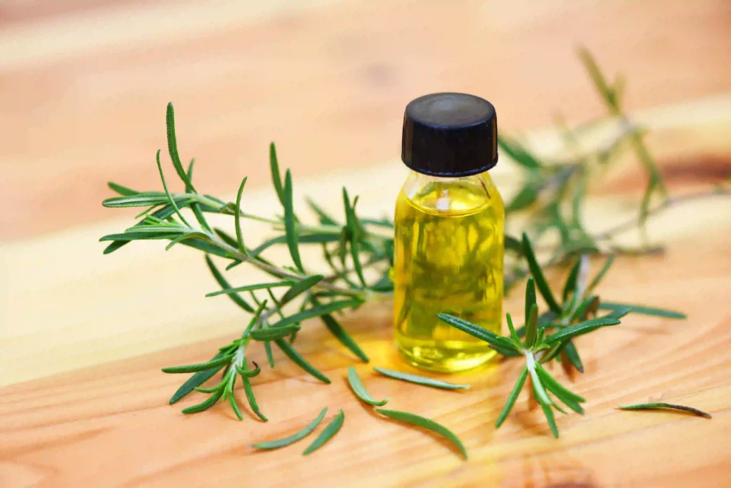 rekomendasi rosemary oil untuk rambut